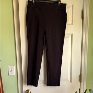 Renuar dark brown pull on pants.